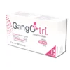GANGOTRI 10 MG 30 TAB