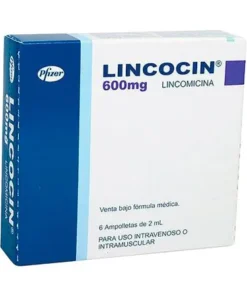 LINCOCIN 600MG JGA PREL6X2ML